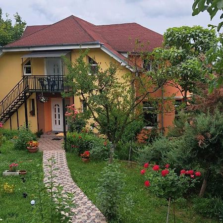 Casa Liana Hotel Oradea Eksteriør billede