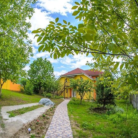 Casa Liana Hotel Oradea Eksteriør billede