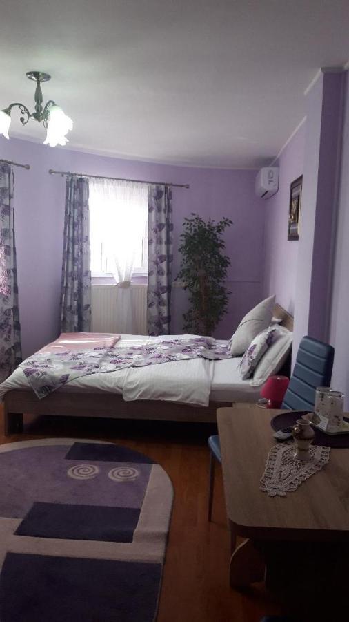 Casa Liana Hotel Oradea Eksteriør billede